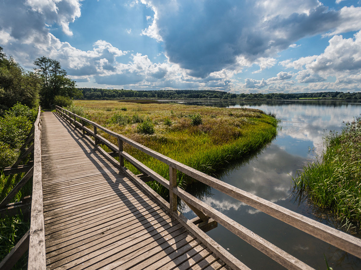 Westerwlder Seenplatte: Sieben Seen, Naturparadies und mehr im Herzen des Westerwalds