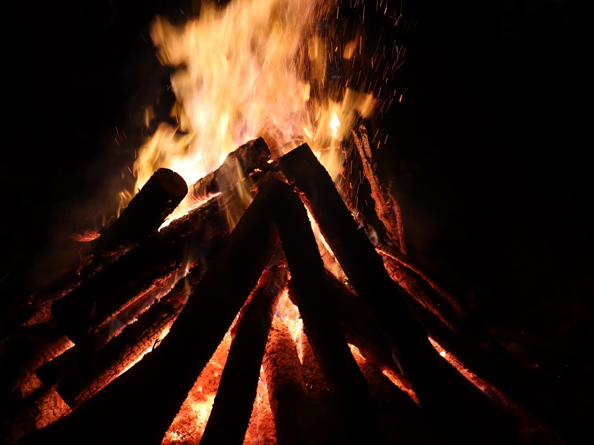 Drei Fackelz�ge treffen sich am "Platz der Buchfinken" tief im Wald