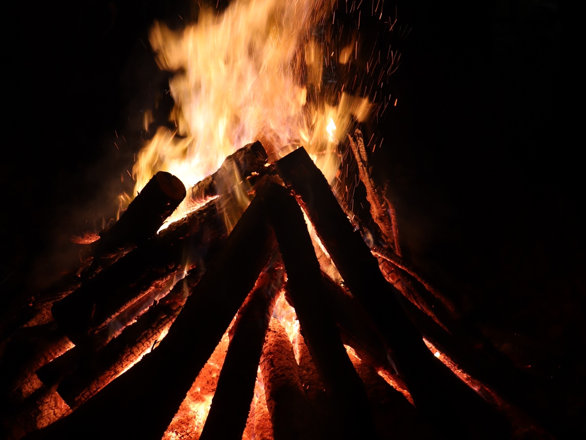 Drei Fackelz�ge treffen sich am "Platz der Buchfinken" tief im Wald
