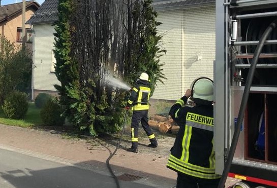 Mit einem C-Strahlrohr konnte der brennende Baum abgelscht werden. (Foto: Feuerwehr Hamm/Sieg)