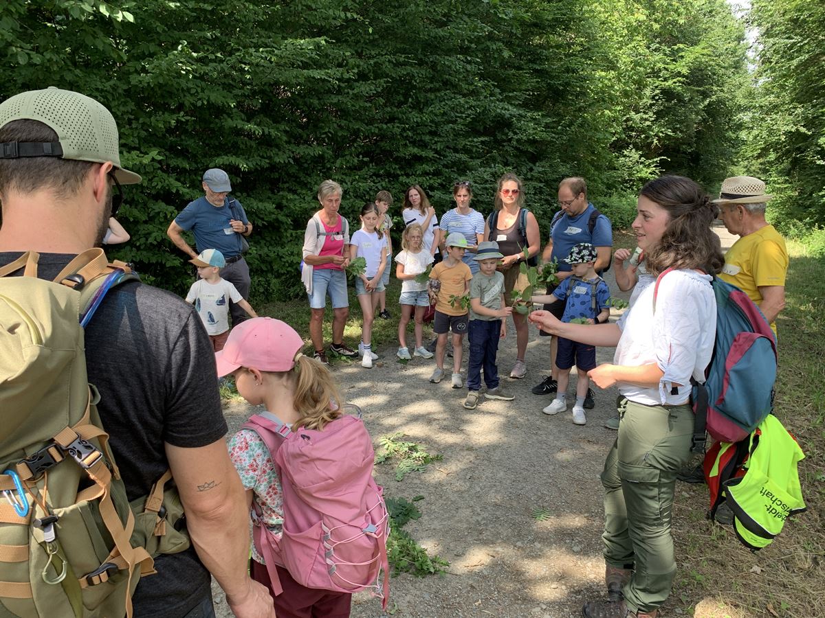 Wie sehen die Bl�tter von Eichen, Ahorn und Buche aus? Das und vieles mehr, lernten die Kinder beim Baumarten-Quiz mit der F�rsterin Teresa Hamb�rger von der Hatzfeldt-Wildenburg�schen Verwaltung (rechts im Bild) kennen. (Foto: Martina Lietzau)