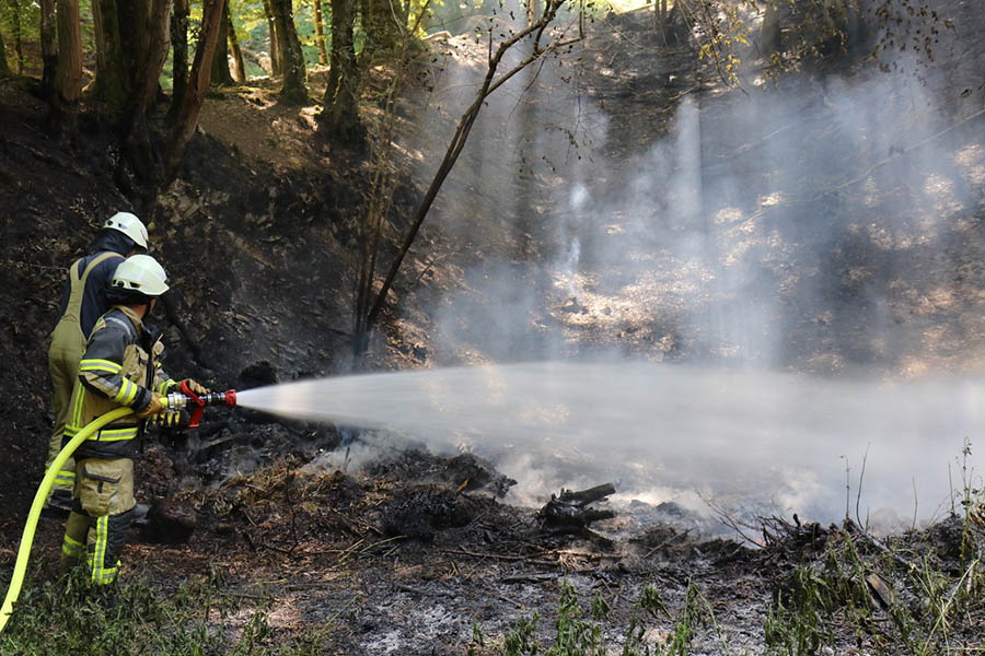 Waldbrand bei Neustadt: Feuerwehr rettet Fuchs vor Flammentod 