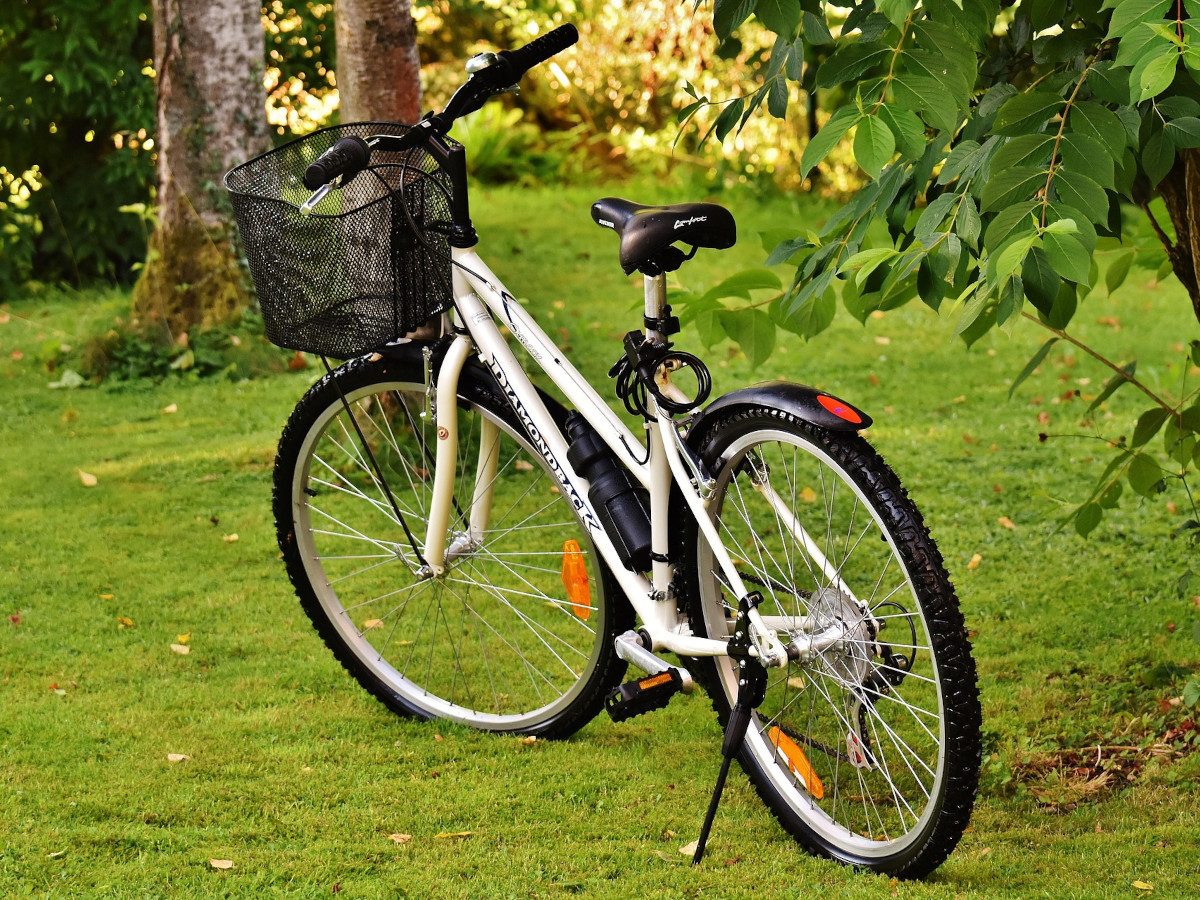 Grne drngen auf schnelle Umsetzung des Radverkehrskonzepts im Westerwaldkreis