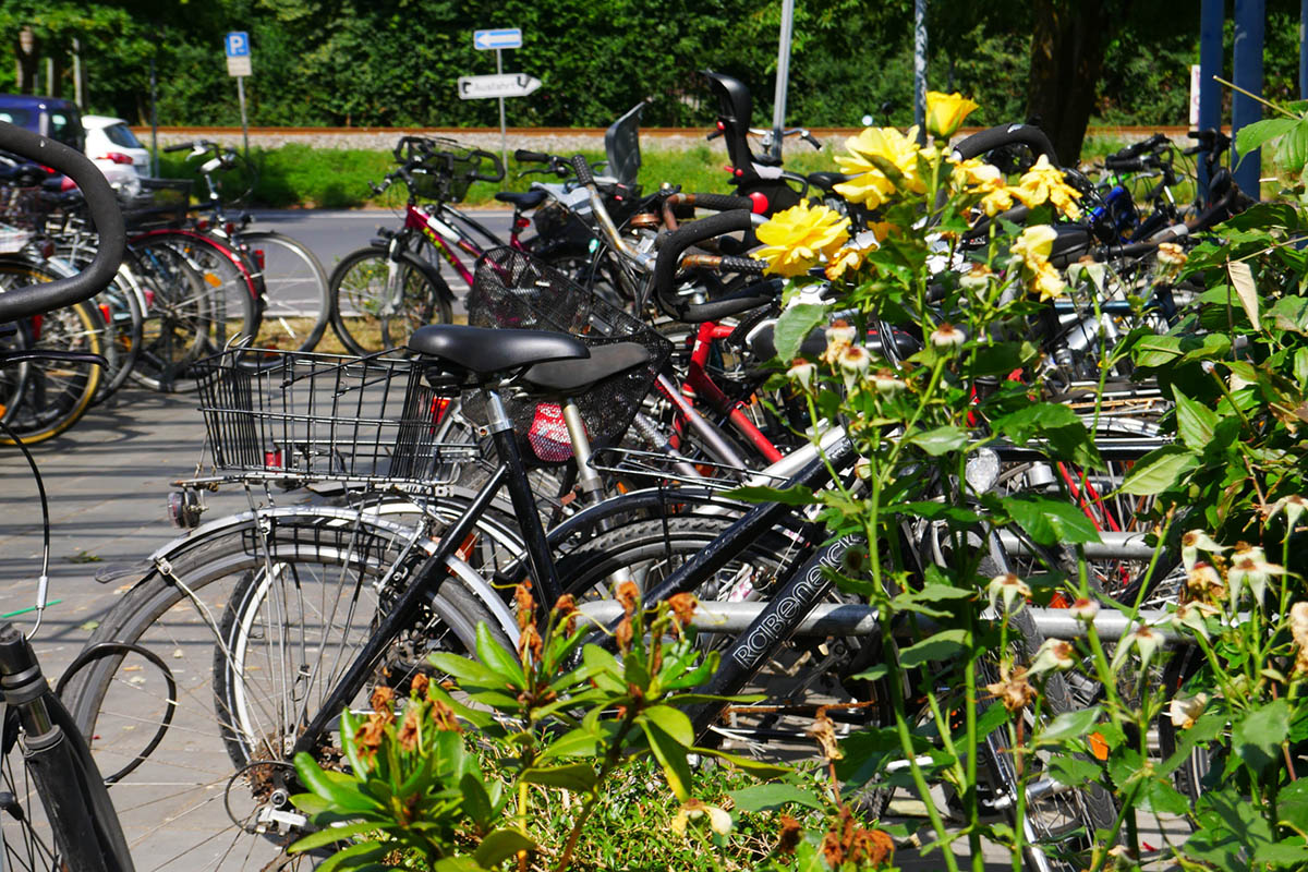 Foto: Stadt Bad Honnef