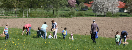 Wildes aus Wiesen und Wldern: Krutererlebnistag fr Familien