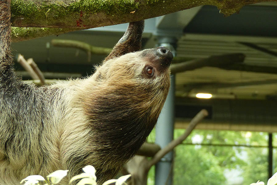 Fotowettbewerb beim Zoo Neuwied