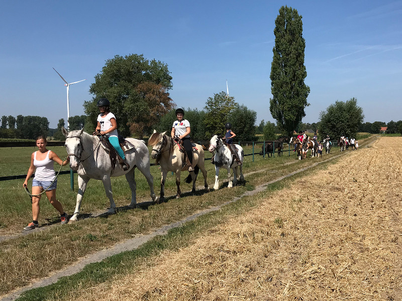 Der Bunte Kreis Rheinland war unterwegs zur Ferienfreizeit fr Geschwisterkinder auf dem Ponyhof Hilbeck. Foto: Bunter Kreis Rheinland