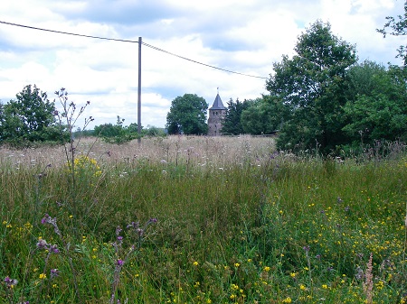 Durch den Ausbau muss ein Stck Natur weichen. (Foto: Immo Vollmer/NI)