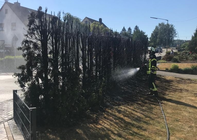 Mit einem C-Strahlrohr konnte die Hecke abgelscht werden. (Fotos: Feuerwehr)