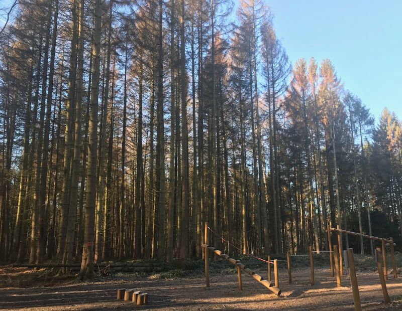 Der Fitness-Park im Montabaurer Stadtwald muss weiterhin gesperrt bleiben. Der Grund sind dringende Baumfllarbeiten und Verzgerungen durch Sturm Sabine. Foto: VG Montabaur