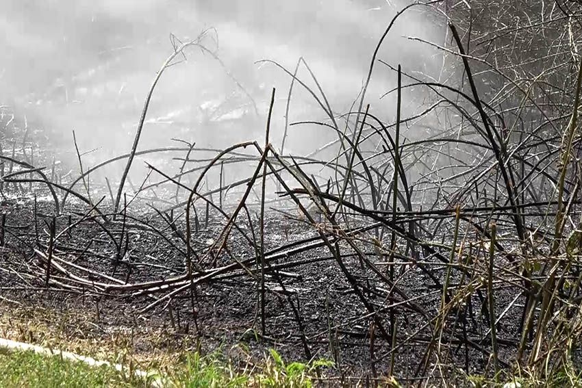 Symbolfoto: Flchenbrand