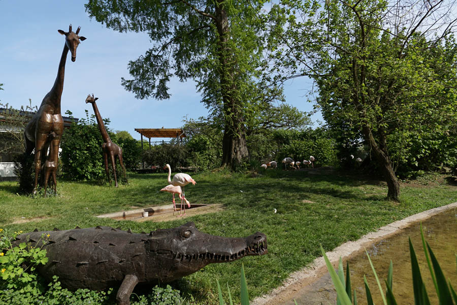 Baumpatenschaft im Zoo Neuwied bernehmen 