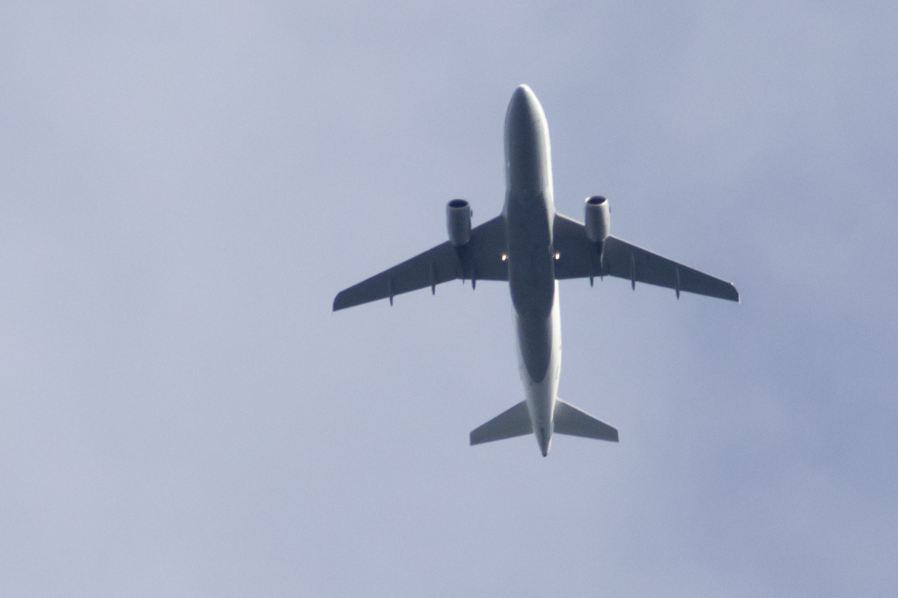 Der verpasste Flug - Reise nach Bali gescheitert 