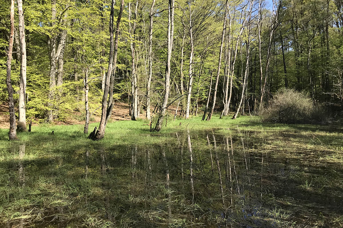 Eine Landschaft  eine Entstehung  zwei Naturparke
