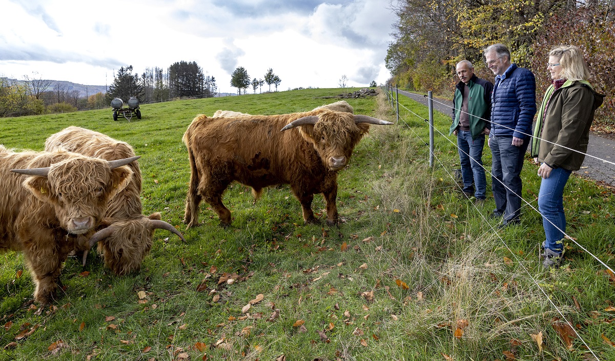 Beeindruckt zeigte sich Brgermeister Andreas Heidrich (2. v.r.) von der imposanten Erscheinung der Schottischen Hochlandrinder, die auf dem Flurhof in Zinhain gehalten werden. Hier zu sehen sind Jungbullen aus der Nachzucht. Die Hofinhaber Ina und Martin Fischer gaben ihrem Gast einen informativen Einblick in ihren landwirtschaftlichen Betrieb. (Fotos: Rder-Moldenhauer)