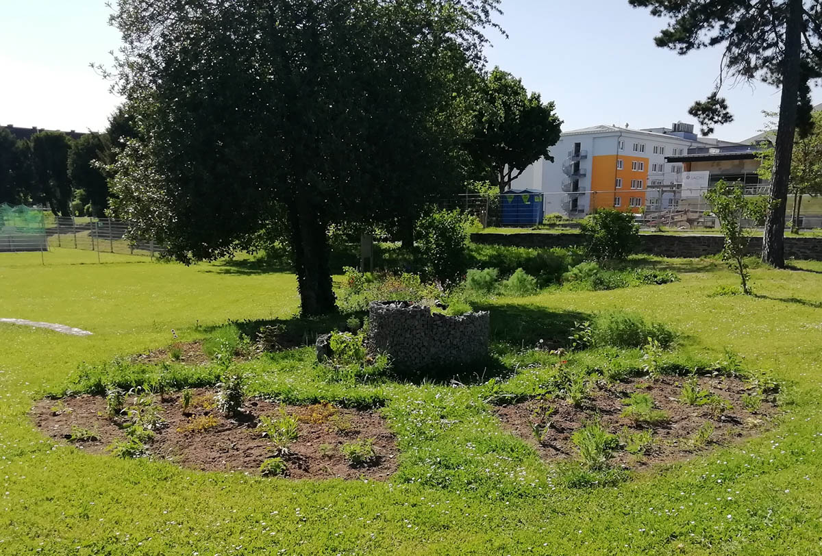 Die neue Kruterspirale und der Frbergarten bereichern das therapeutische Angebot des Johanniter-Zentrums Neuwied. Foto: Patty Muller/Johanniter Zentrum
