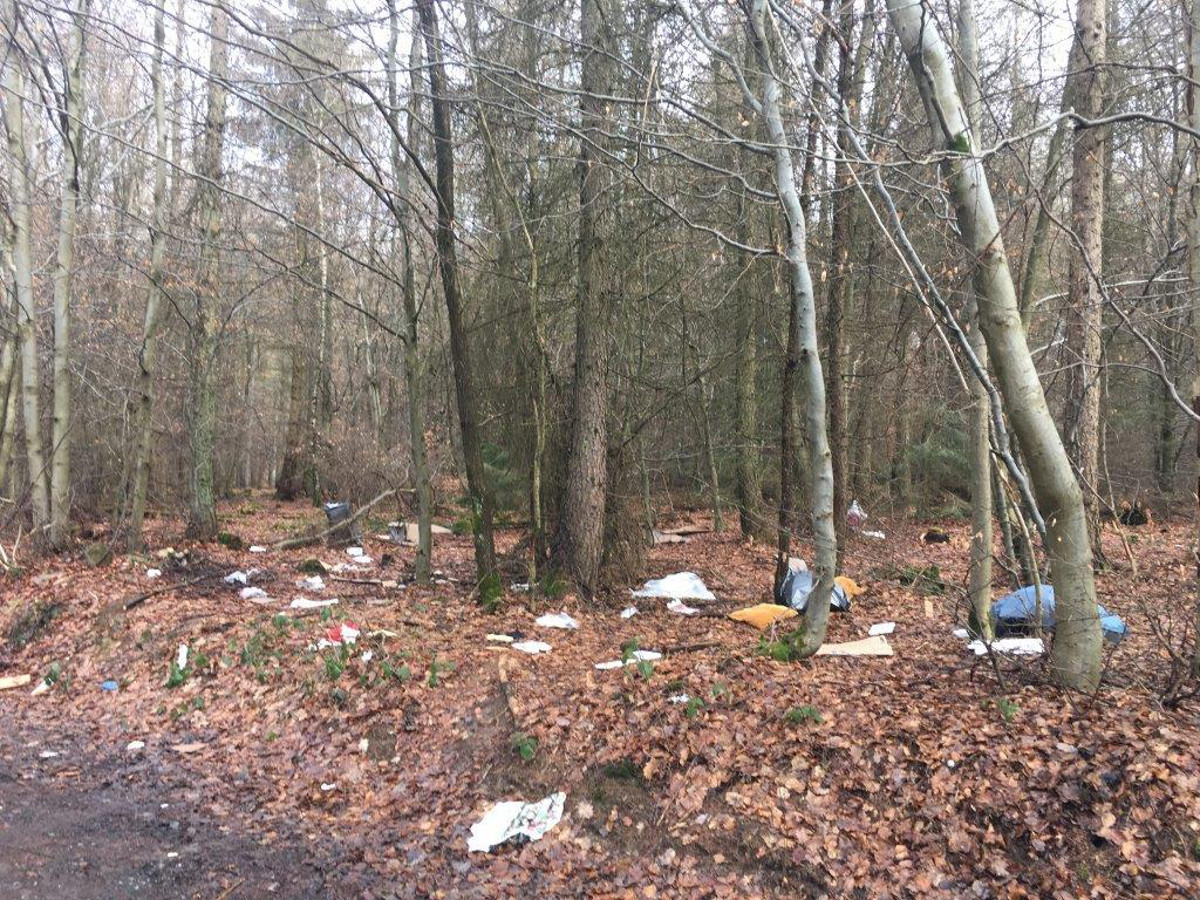 Den Startschuss der Aktion Saubere Landschaft 2021 gibt Landrat Schwickert in Freirachdorf. (Fotos: Pressestelle der Kreisverwaltung)
