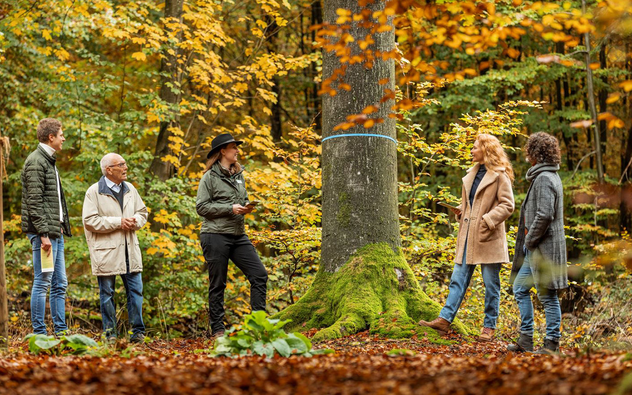 Den Friedwald Wildenburger Land bei einer Waldfhrung erleben 