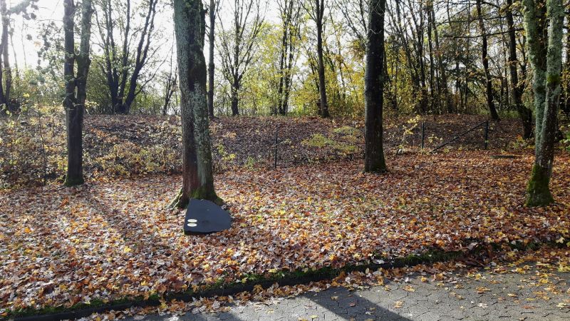 Unter alten Bumen unter einer weichen Decke aus Gras, Moos und Laub die letzte Ruhesttte finden: Das ist jetzt auf dem Hauptfriedhof in Montabaur mglich. Foto: Stadt Montabaur