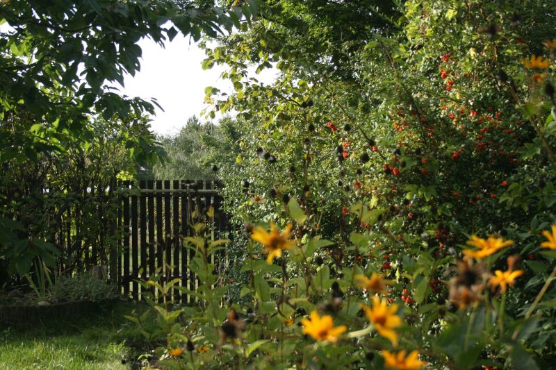 Ein naturnaher Garten trgt zum Biodiversittserhalt bei. Foto: Eric Neuling