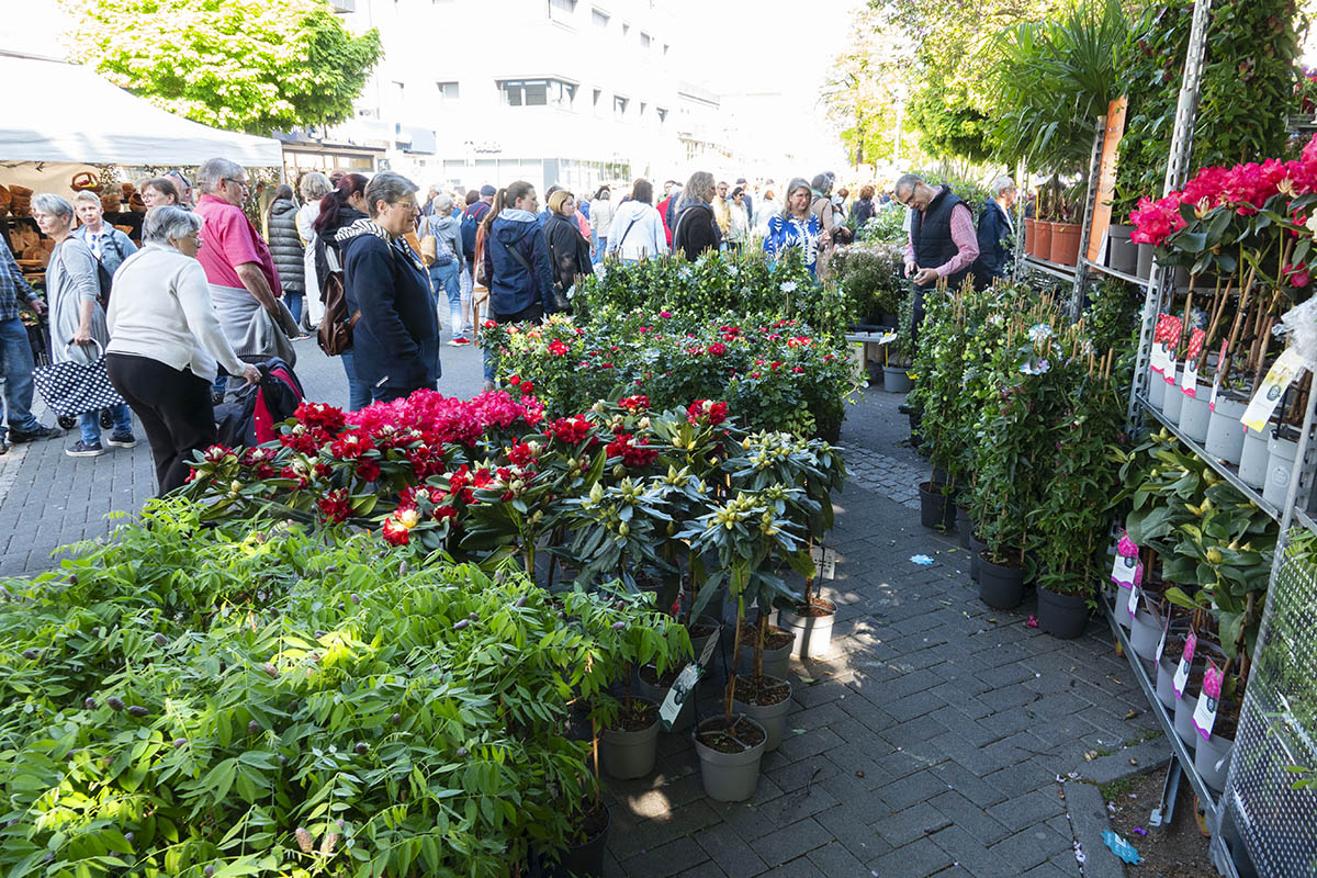 Archivfoto: Wolfgang Tischler