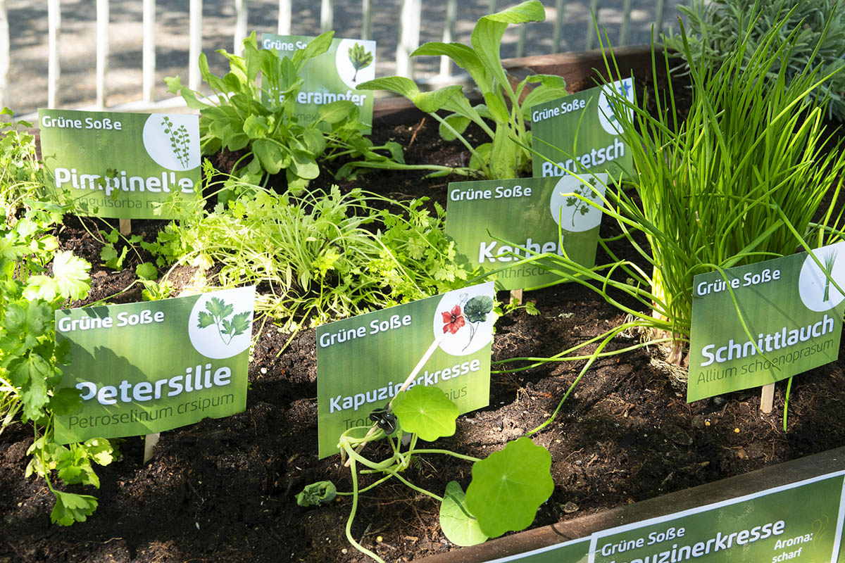 Symbolfoto: Wolfgang Tischler