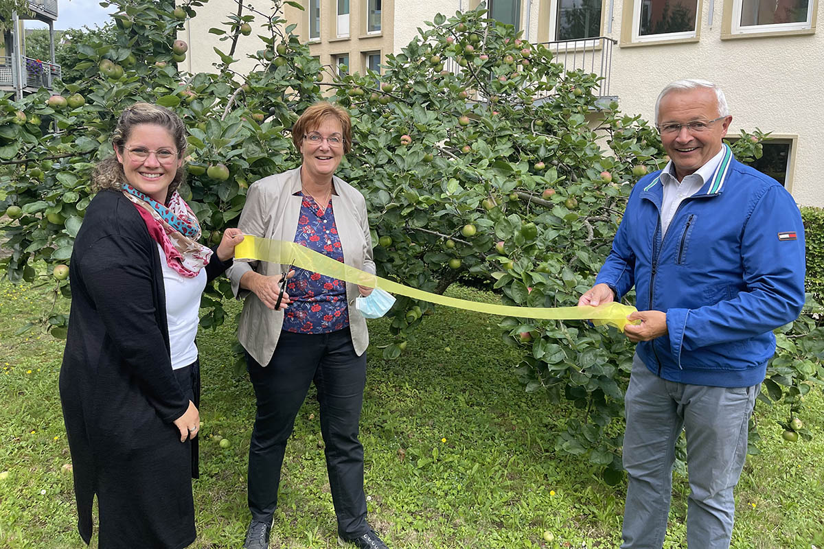 Ein gelbes Band am Baum signalisiert: Hier darf jeder ernten! Und so haben (von rechts) Landrat Achim Hallerbach, Umweltreferentin Ina Heidelbach und Gabi Schfer von der Stabsstelle (Energie, Klima und Umwelt) den Apfelbaum im Hinterhof der Kreisverwaltung entsprechend gekennzeichnet. Foto: Kreisverwaltung