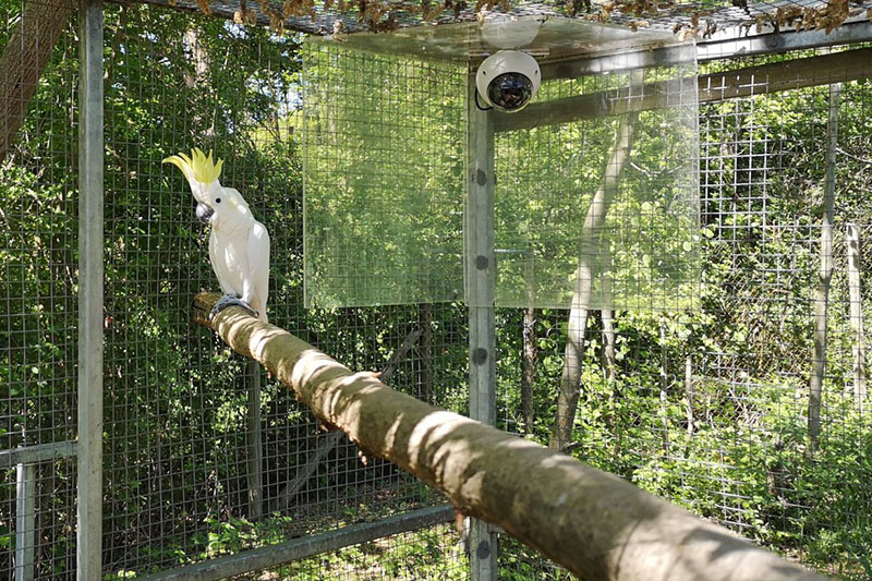 Mehr als 1.000 Studien in Zoos: Neuwied ist auch dabei