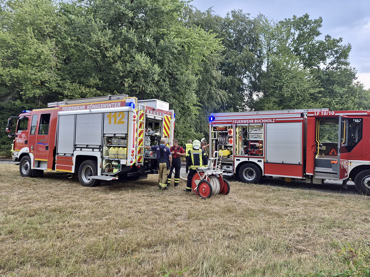 Rund 30 Quadratmeter Feld brannten direkt an einem Waldst�ck. Foto: Feuerwehr VG Asbach