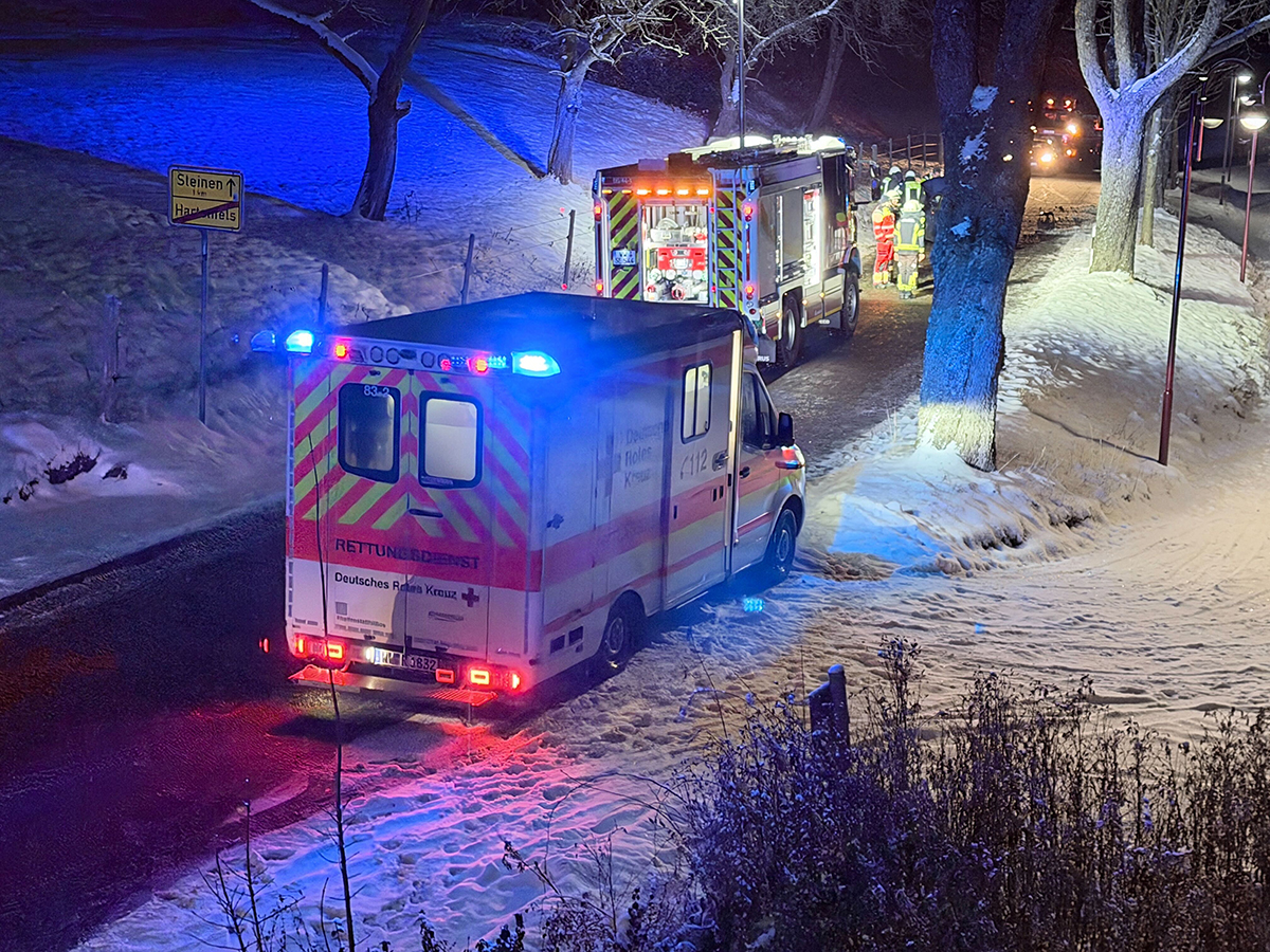 Aktualisiert: Glatteisunfall in Hartenfels - Einsatzkr�fte schnell vor Ort