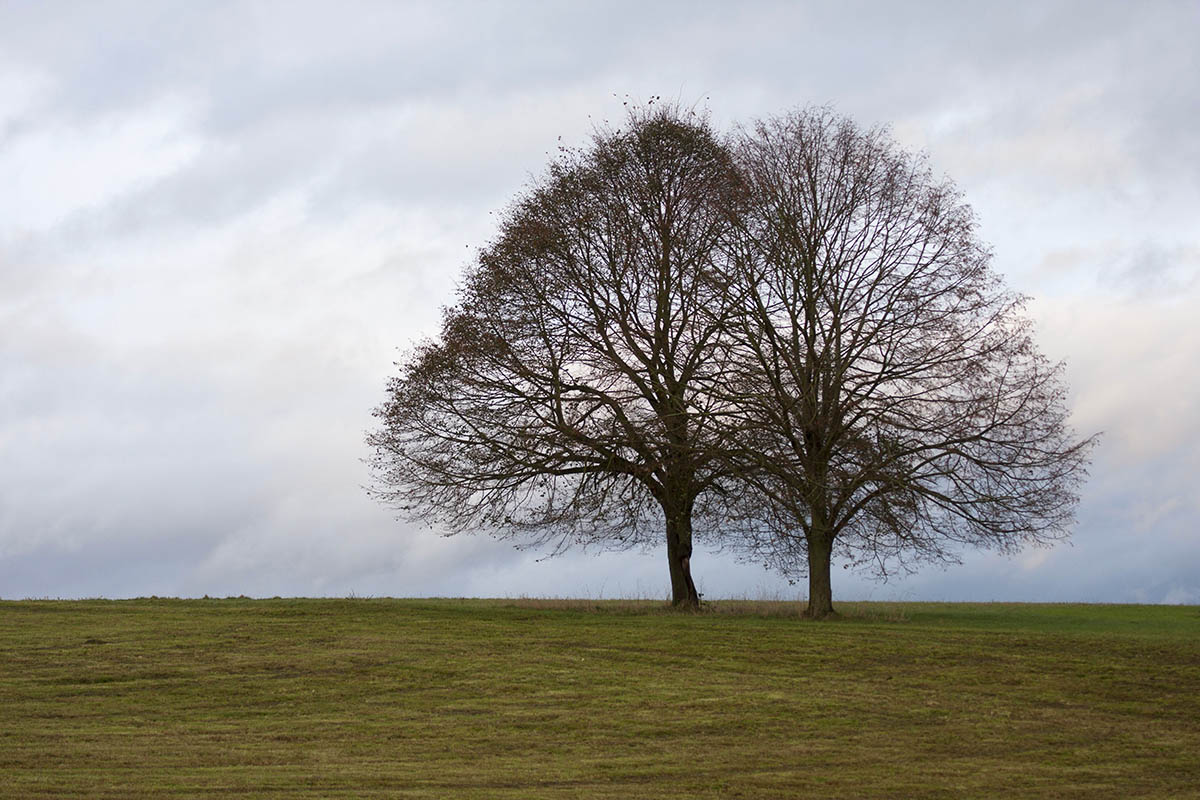 Das Wochenende wird grau ohne Schnee. Foto: Wolfgang Tischler