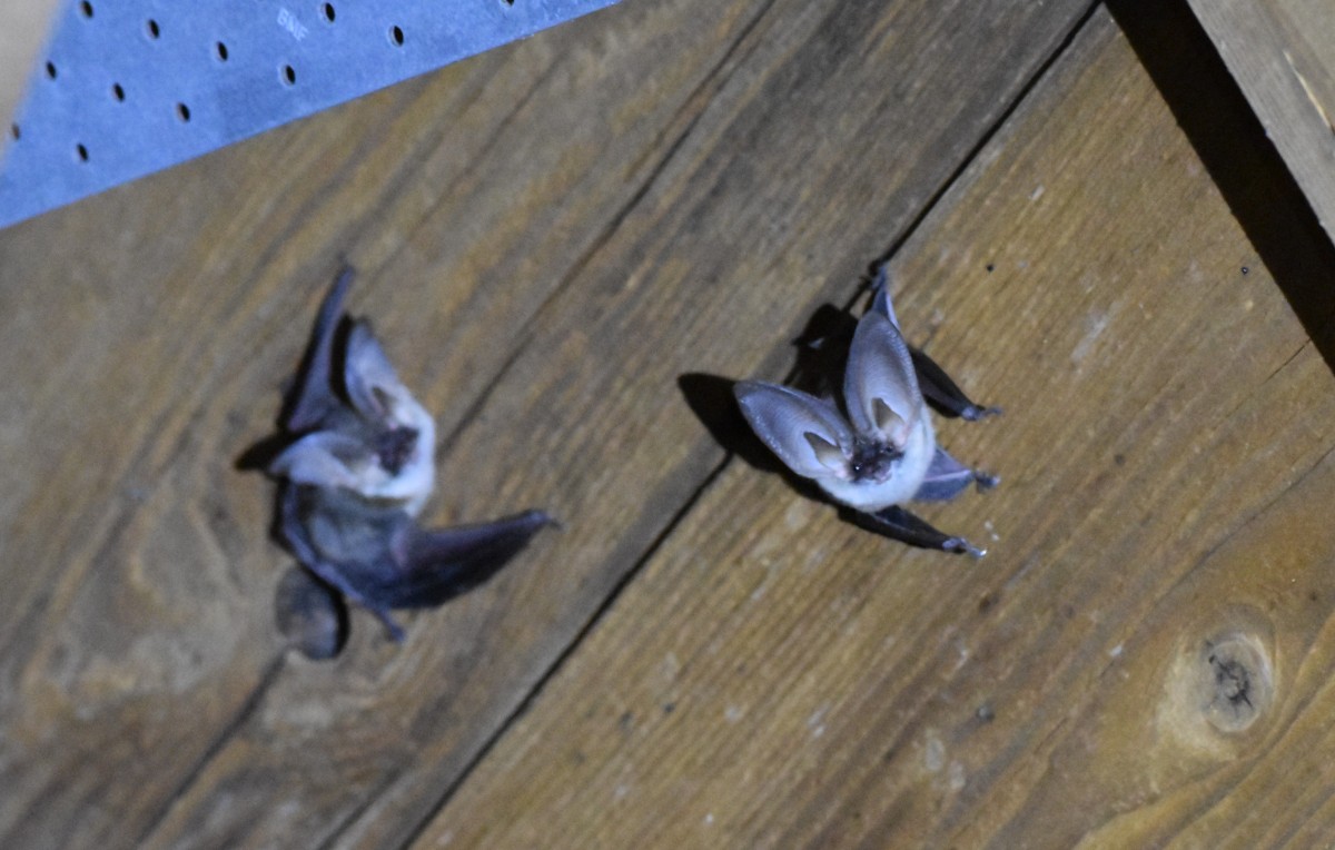 Foto: J�rgen Paul Lorenzen