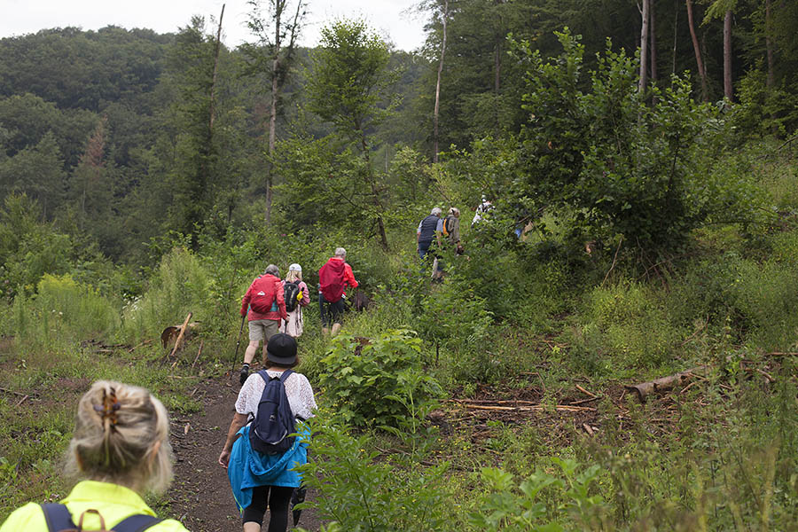 Auf- und Abstieg in vielfltiger Natur rund um Grenzau. Fotos: Helmi Tischler-Venter