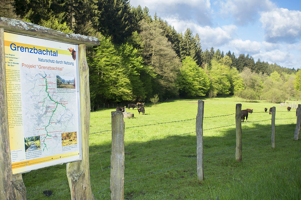 Im Grenzbachtal gibt es viele schne Ecken. Foto: Wolfgang Tischler