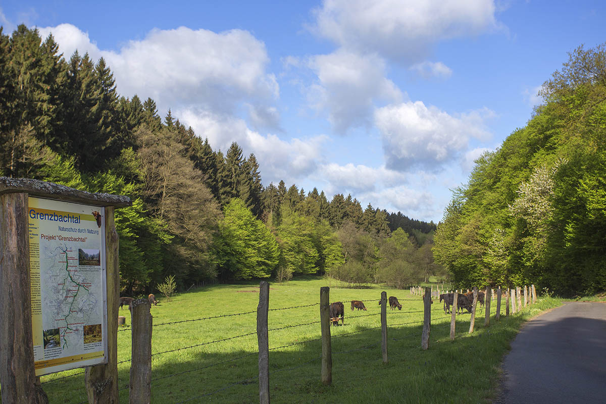 Schnes Wetter am Wochenende. Foto: Wolfgang Tischler