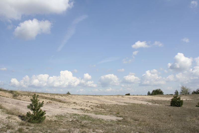 Grnhaus  Vom Tagebau zum Naturparadies