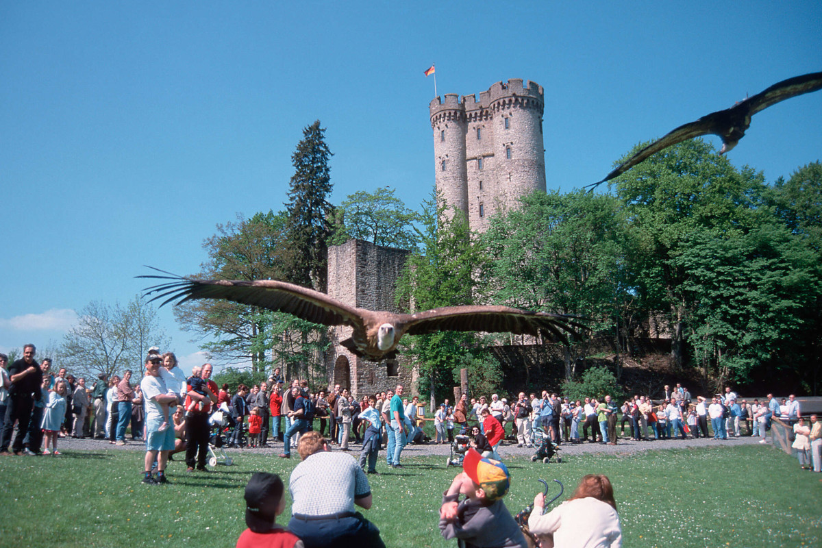 Lehrreiches und Spa auf der Kasselburg. (Foto: www.adler-wolfspark.de)