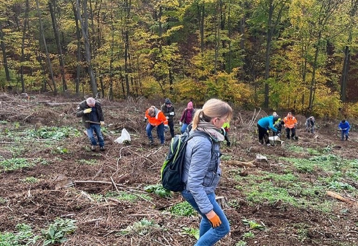 Insgesamt 900 Bume konnten gepflanzt werden! (Foto: privat)