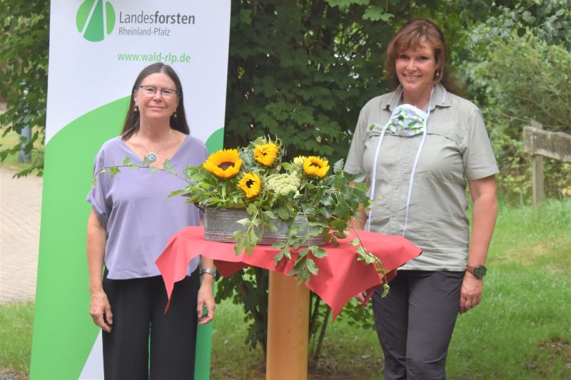 Ministerin Hfken machte sich Bild vom  Waldzustand im Westerwaldkreis