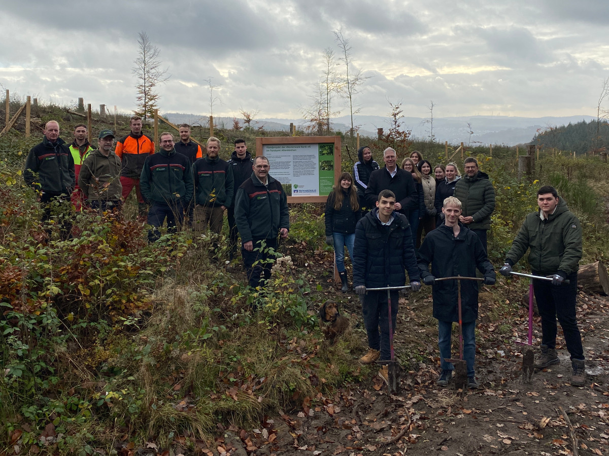 Die Helfer der Westerwald Bank haben fr jedes neue Mitglied einen Baum gepflanzt. (Foto: Westerwald Bank)