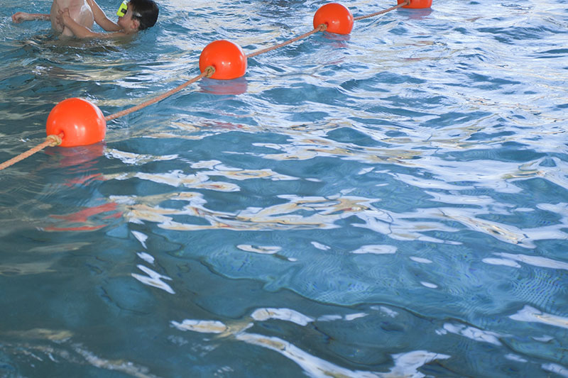 CDU fordert kostenlose Schwimmkurse fr Schler bis 12 Jahre