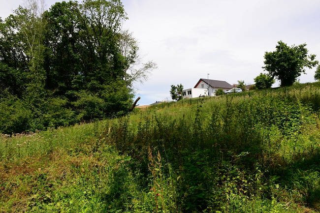 Hamm/Sieg stellt Bebauungsplanverfahren Httenberg ein