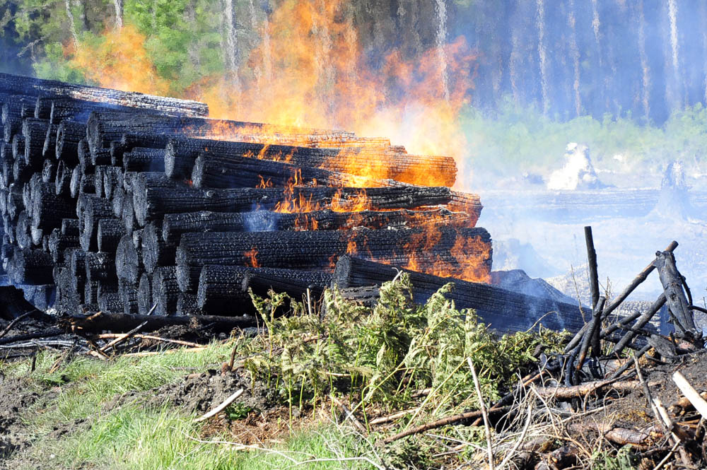 Groaufgebot der Feuerwehren bei Flchenbrand im Wald