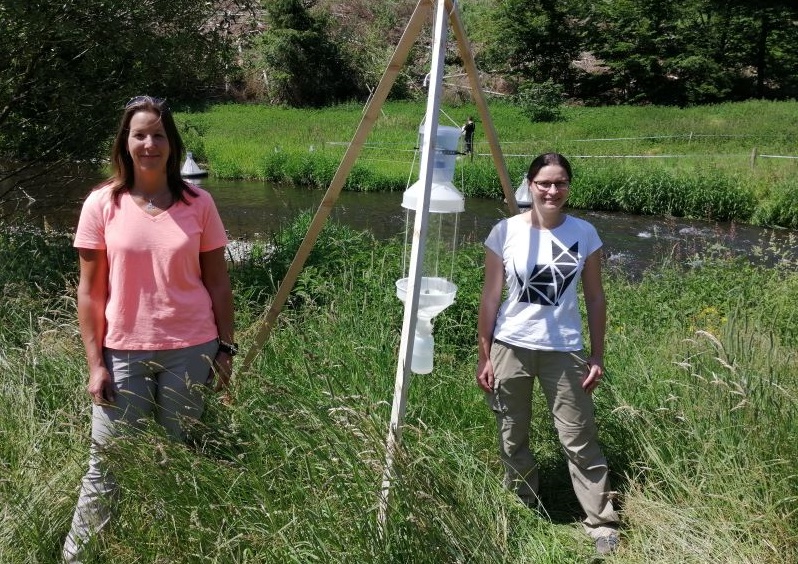 Fensterfallen vermitteln aus der Ferne den Eindruck, ein abgedecktes Tipi zu sein. Dr. Meike Koester (links) und Dr. Daniela Mewes betreuen die Begleitforschung entlang der Nister bei Helmeroth. (Foto: hak)