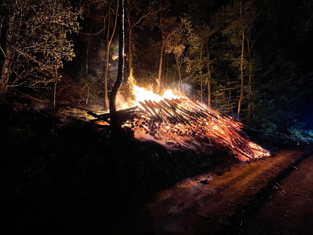 Der brennende Holzstapel bei Herdorf beschftigte in der Nacht zum Montag 50 Feuerwehrleute. (Fotos: Feuerwehr Herdorf)