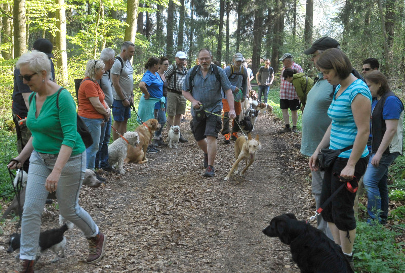 Mit Hund zur Erlebniswanderung am Wiesensee