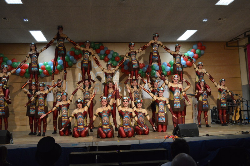 Die erst vor ein paar Jahren gegrndete Tanzformation Dance Emotions wurde im letzten Jahr mit ihrer Showtanzgruppe Deutscher Meister. Foto: Privat