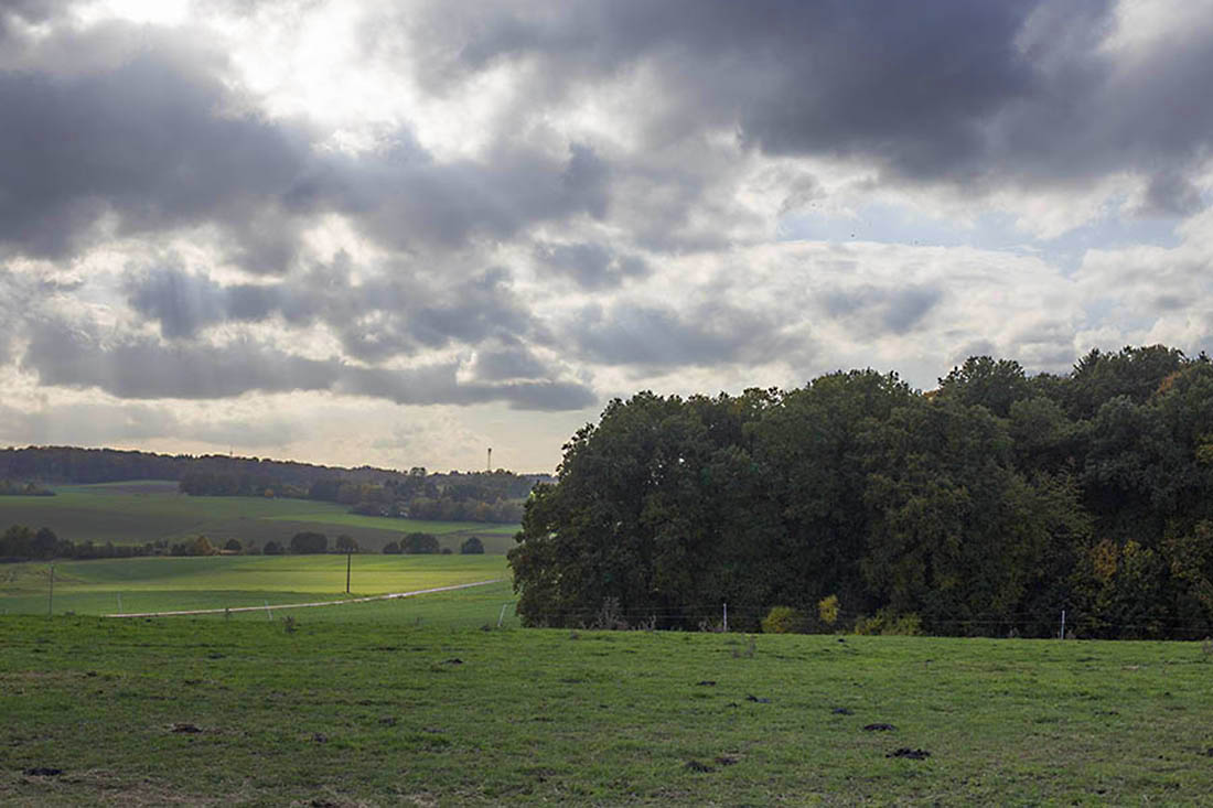 Westerwaldwetter: Regnerisch und windig am letzten Oktober-Wochenende - Zeit, die Winterreifen aufzuziehen!