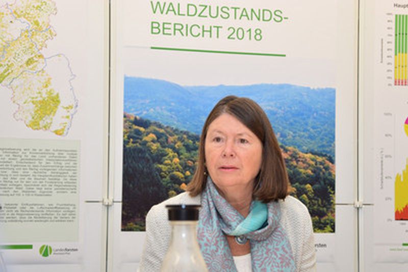 Forstministerin Hfken stellt den Waldzustandsbericht vor. Foto: MUEEF