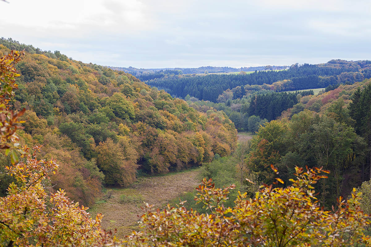 Der Herbst prsentiert sich mit sehr hohen Temperaturen. Foto: Wolfgang Tischler